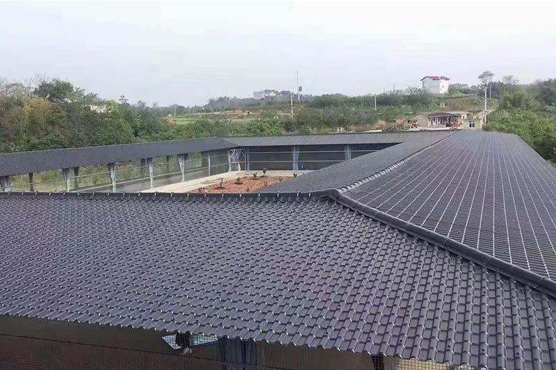 Project Causae